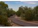 Paved path winds through lush desert landscape at 3812 W Antelope Way, San Tan Valley, AZ 85144