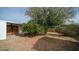 Backyard with a wooden fence and fruit trees at 1641 W Grovers Ave, Phoenix, AZ 85023