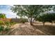 Backyard with a storage shed, trees, and a wooden fence at 1641 W Grovers Ave, Phoenix, AZ 85023