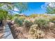 Landscaped backyard with desert plants and mountain views at 27440 N Alma School Pkwy # 33-1, Scottsdale, AZ 85262