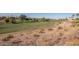 Aerial view showcasing the community's golf course at 11544 W Javelina Ct, Surprise, AZ 85378