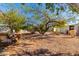 Relaxing backyard with gravel and mature trees at 3104 E Broadway Rd # 120, Mesa, AZ 85204