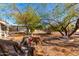 Charming backyard with a patio table set under a tree at 3104 E Broadway Rd # 120, Mesa, AZ 85204