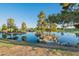 Serene community lake reflecting the surrounding trees and sky at 45680 W Barbara Ln, Maricopa, AZ 85139