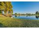 Stunning lake view with clear water and lush surroundings at 45680 W Barbara Ln, Maricopa, AZ 85139