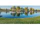 Tranquil lake view with lush vegetation and reflections at 45680 W Barbara Ln, Maricopa, AZ 85139