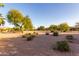 Open community landscape with desert vegetation and homes at 16513 W Windsor Ave, Goodyear, AZ 85395