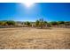Spacious backyard with mountain views and room to roam at 2914 E Gary Way, Phoenix, AZ 85042
