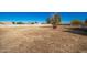 Large backyard perfect for outdoor entertaining and recreation at 2914 E Gary Way, Phoenix, AZ 85042