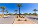 Landscaped entrance to the community with palm trees and a curved road at 1301 W Via De Olivos --, Queen Creek, AZ 85140