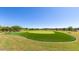 Community putting green with artificial turf and landscaping at 1301 W Via De Olivos --, Queen Creek, AZ 85140