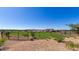 Community dog park with fenced area, grass, and seating at 1301 W Via De Olivos --, Queen Creek, AZ 85140