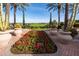 Landscaped area with red flowers and palm trees, overlooking a golf course at 856 E Harmony Way, San Tan Valley, AZ 85140