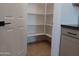 Walk-in pantry with ample shelving for storage at 24078 W Pecan Rd, Buckeye, AZ 85326