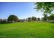 Large backyard with expansive green lawn at 10861 W Venturi Dr, Sun City, AZ 85351