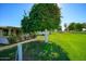 Spacious backyard with lush green grass and mature trees at 10861 W Venturi Dr, Sun City, AZ 85351