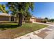 House exterior showcasing a large tree and front yard at 13631 N Redwood Dr, Sun City, AZ 85351