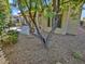 Desert landscaping with mature trees and gravel at 12446 W Bajada Rd, Peoria, AZ 85383