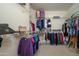 Walk-in closet with ample shelving and hanging space at 18483 N Deer Grass Ct, Surprise, AZ 85374