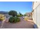 Landscaped backyard with gravel and desert plants at 18483 N Deer Grass Ct, Surprise, AZ 85374