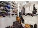 Large walk-in closet with ample shelving and hanging space at 813 E Lovegrass Dr, San Tan Valley, AZ 85143