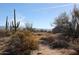 Landscaped backyard with desert plants and mountain views at 16521 E Ranch Rd, Scottsdale, AZ 85262