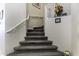 Elegant carpeted staircase with white railings at 1757 E Wildflower Ln, Casa Grande, AZ 85122