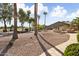 Landscaped backyard with a stone pathway and lush greenery at 3507 N Snead Dr, Goodyear, AZ 85395