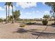Spacious backyard with gravel landscaping, mature trees, and a view of the golf course at 3507 N Snead Dr, Goodyear, AZ 85395