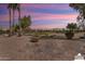 Landscaped backyard with gravel and desert plants, providing a tranquil view at 3507 N Snead Dr, Goodyear, AZ 85395
