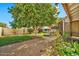 Landscaped backyard with a large lemon tree and gravel pathways at 18903 N 97Th Ln, Peoria, AZ 85382