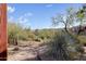 Desert landscape with a variety of plants and a distant mountain view at 27440 N Alma School Pkwy # 116, Scottsdale, AZ 85262