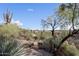 View of the desert landscape with cacti, shrubs, and distant homes at 27440 N Alma School Pkwy # 116, Scottsdale, AZ 85262