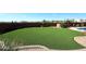 Expansive backyard with lush green lawn, desert plants, and a pool at 38820 N 19Th Way, Phoenix, AZ 85086