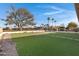 Landscaped backyard with artificial turf and mature trees at 19039 N 90Th Ln, Peoria, AZ 85382
