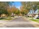 Residential street lined with mature trees and homes at 3647 E Linda Ln, Gilbert, AZ 85234