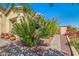 Landscaped side yard with flowering bushes and a walkway at 3525 N Carlton St, Buckeye, AZ 85396