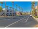 Palm tree-lined street showcasing upscale shops and businesses in a sunny community at 3525 N Carlton St, Buckeye, AZ 85396