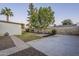 Backyard with grassy area, gravel path, and mature tree at 3743 W Dailey St, Phoenix, AZ 85053