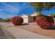 House exterior showcasing a well-maintained front yard with flowering bushes at 10768 W Citrus Grove Way, Avondale, AZ 85392