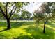 Peaceful neighborhood park with mature trees and grassy areas at 2912 E Vaughn Ave, Gilbert, AZ 85234