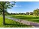 Scenic view of a neighborhood park with lush green grass at 2912 E Vaughn Ave, Gilbert, AZ 85234