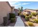 Landscaped front yard with walkway to entrance at 846 N Pueblo Dr # 113, Casa Grande, AZ 85122