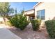 Landscaped front yard with shrubs and gravel at 846 N Pueblo Dr # 113, Casa Grande, AZ 85122