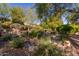 Landscaped backyard with a small water feature at 12832 W Pinnacle Vista Dr, Peoria, AZ 85383