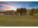 Home with a lush green backyard and desert landscaping at 20566 N Lemon Drop Dr, Maricopa, AZ 85138