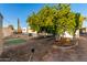 Backyard with two putting greens and mature citrus trees at 44 S Hawes Rd # A15, Mesa, AZ 85208