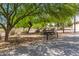 Metal park bench under shady trees in a park setting at 419 E Oxford Dr, Tempe, AZ 85283