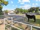 Ranch home exterior with a gated driveway and a mule in the pasture at 1101 N Christa Way, Tolleson, AZ 85353