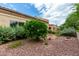 Landscaped front yard with drought-tolerant plants and gravel at 8351 W Taro Ln, Peoria, AZ 85382